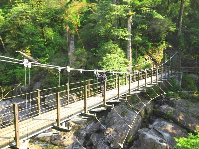 トレッキング、カヤック、シュノーケル、ダイビングなど、レジャーや体験スポットがあります。