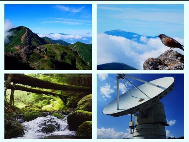 八ヶ岳は自然が沢山！星空観察スポットとしては、日本でも有数の場所です～★★