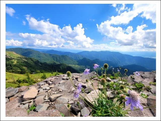 雲の近くで仕事ができます♪