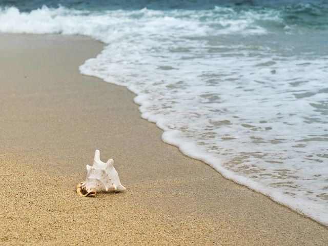 ホテルの目の前の海は1年中サーフィンできます♪
