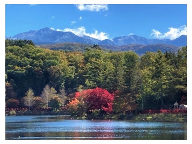 １ヶ月の短期です！ご応募お待ちしております！