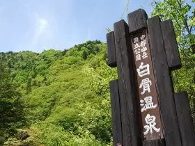 多くの方が満了していただいています！
お受け入れも良いので、安心してきてください♪