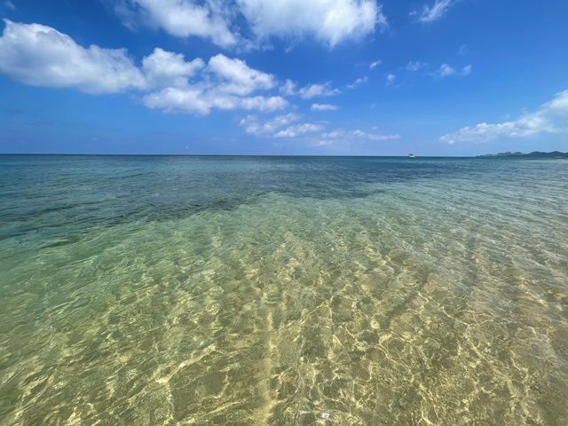 眺めているだけで癒される景色がたくさんあります！