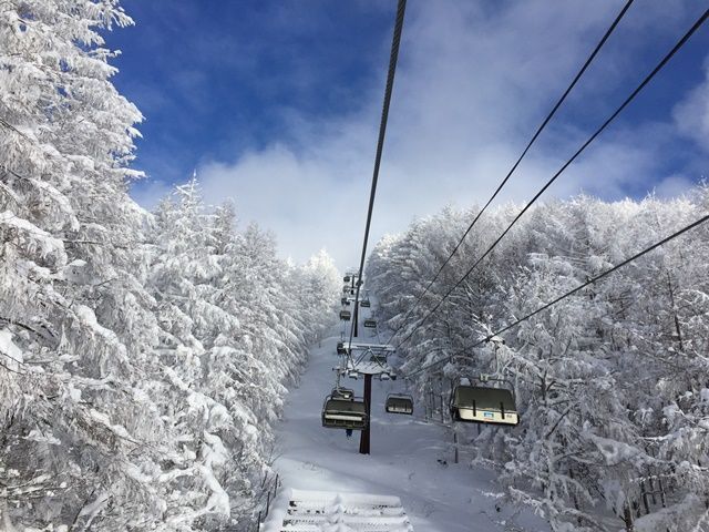 冬は樹氷で有名な蔵王です！