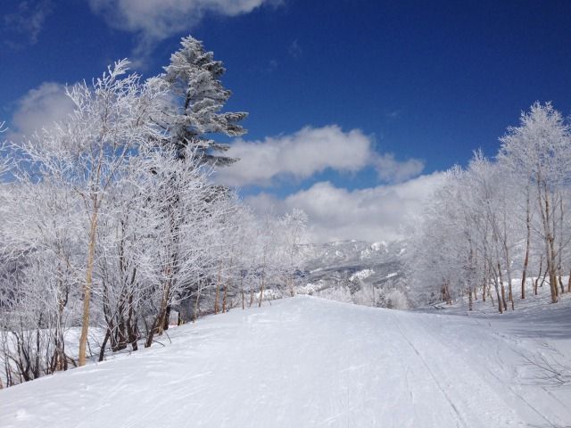 ホテルの目の前がゲレンデです。中抜けでも滑り放題です★ミ