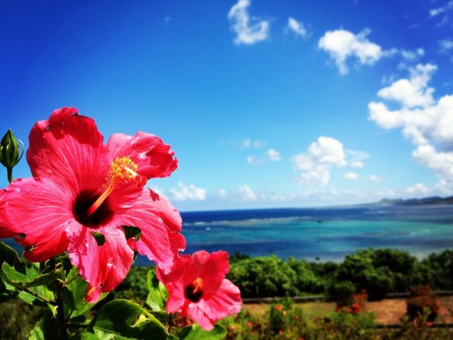 プライベート充実できる職場だから◎、石垣島の大自然を満喫できる☆彡