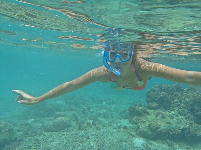 シュノーケリング・ダイビングスポット多数☆彡