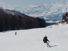 ★雪質抜群のゲレンデが昼間から楽しめる★