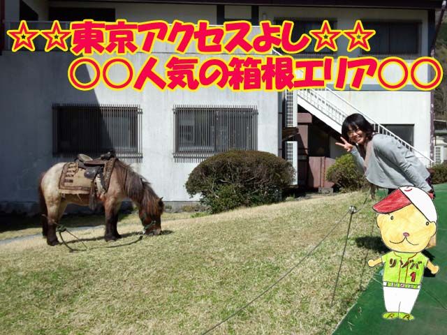 ☆箱根の仙石原は大自然に囲まれたとてもゆったりできる場所です☆