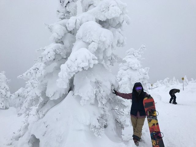 樹氷☆珍しいスノーモンスター☆