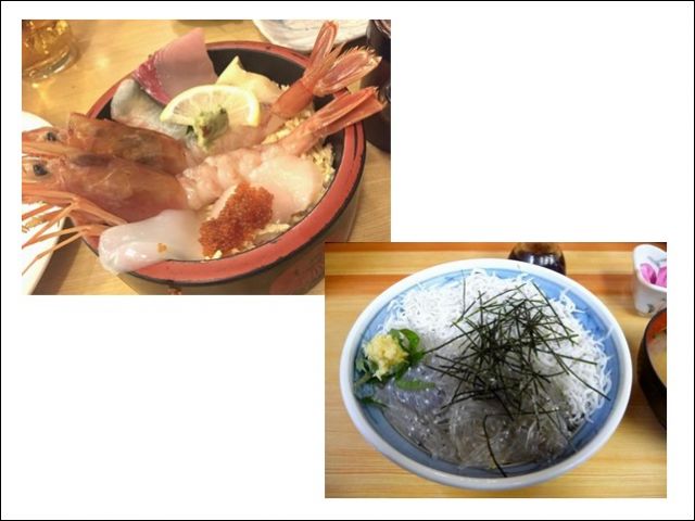 美味しい海の幸も沢山あります！
