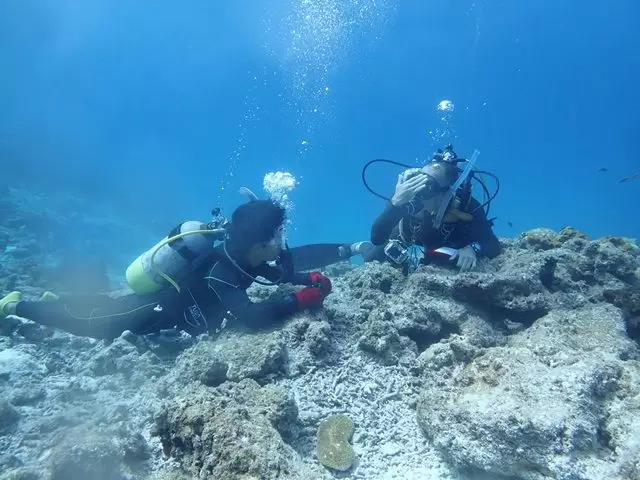 久米島はダイビングスポットが豊富なので、ライセンスを取ってたくさん潜っちゃおう♪