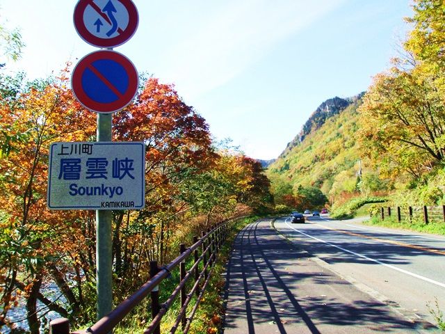 大自然の中で生活できます(●´人｀)