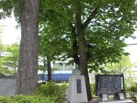 グリーンがたくさん、マイナスイオンたっぷりです♪