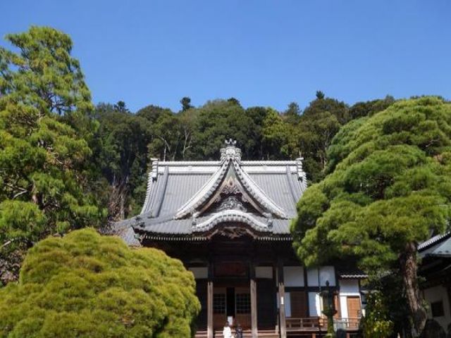 修善寺も近い！！