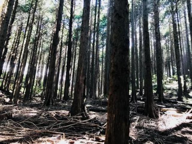 休みの日はリフレッシュ