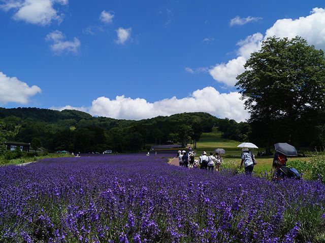 自然に癒されたい方におすすめ！