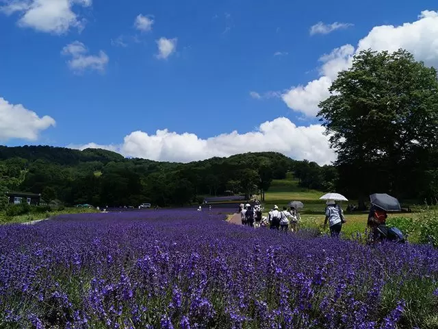 自然に癒されたい方におすすめ！