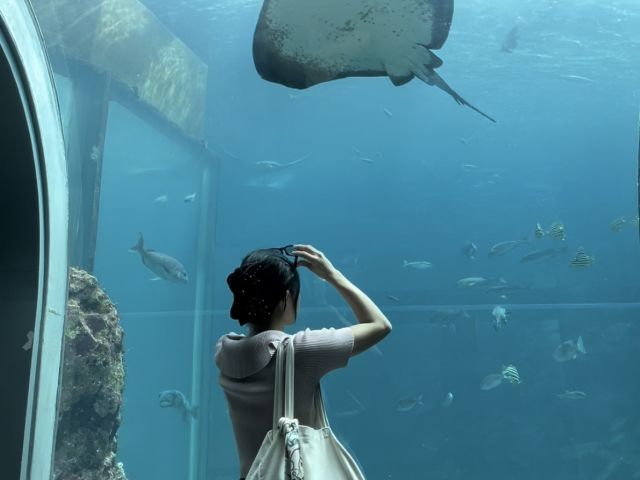 海近くで生活出来るのも魅力の一つ！！休日や空いた時には海や観光・グルメ巡りなど♪