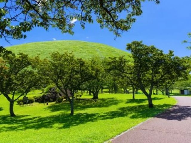 晴れた日には、お出かけしましょう！！