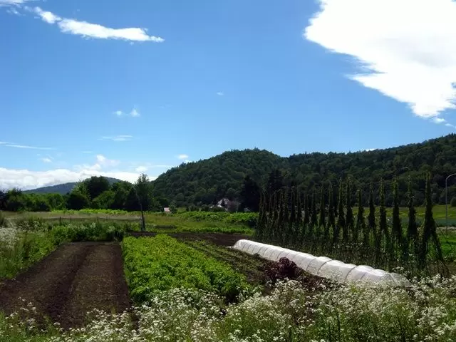 のどかな土地で仕事がしたいなら☆彡