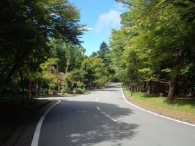 ★自然が多いですがそこがいい！