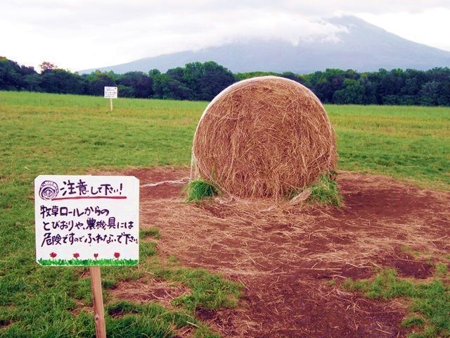 観光エリアも充実してます！