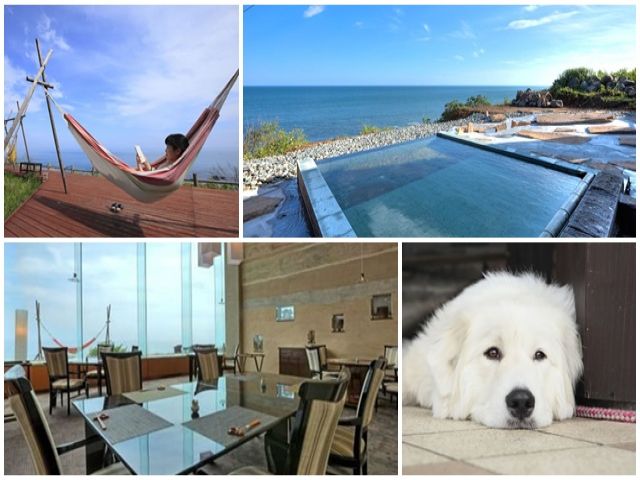 のんびり、ゆったり…まさに心のリゾート！かわいい看板犬と一緒にお仕事しましょう♪