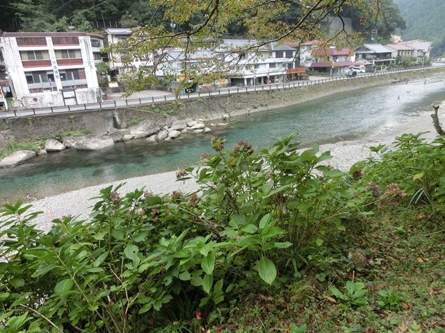 エメラルドグリーン色の川♪とても綺麗ですよ!(^^)!