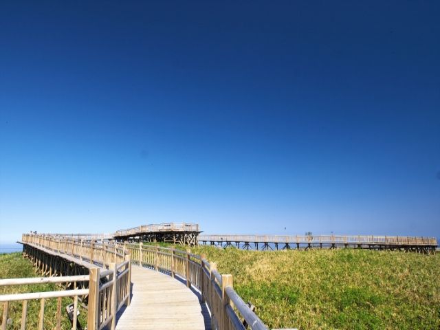 フォトスポット多数