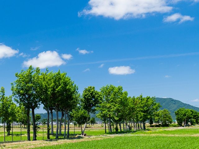 周辺環境は自然豊かな田園地帯です。綺麗な空気を感じて過ごしましょう。