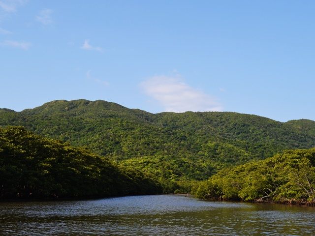 職場は、ジャングルの島にある給油所。