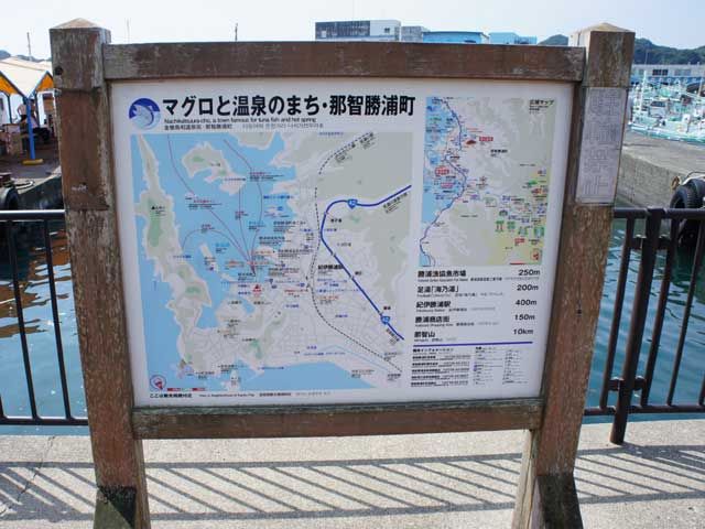 観光スポットにグルメなど、勝浦を堪能しましょう！