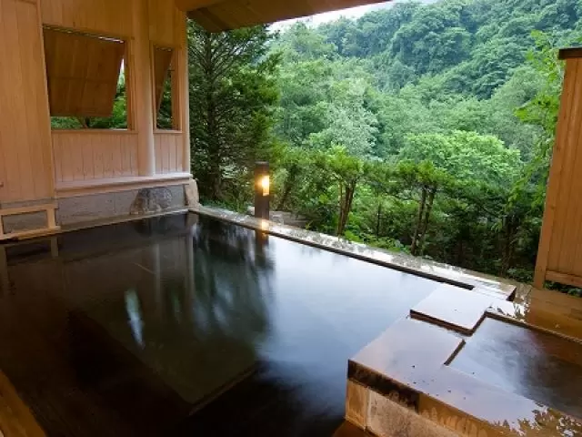自然に囲まれた温泉を満喫☆
誰もいない静かな温泉を独り占めって本当に最高の贅沢です!!