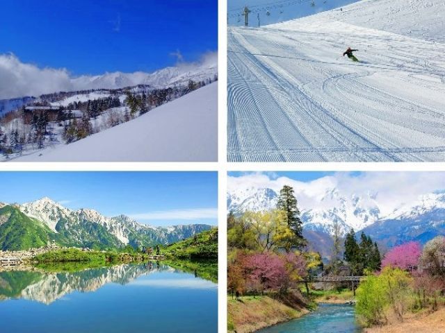 冬はウィンタースポーツ、夏はトレッキングと季節に合わた楽しみ方が出来るのも白馬の特徴！