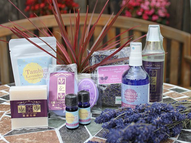 ラベンダー畑でのリフト係のお仕事です。