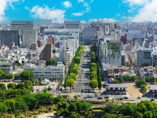 大阪・三宮・姫路も行けちゃう♪幅広い世代が活躍中！！