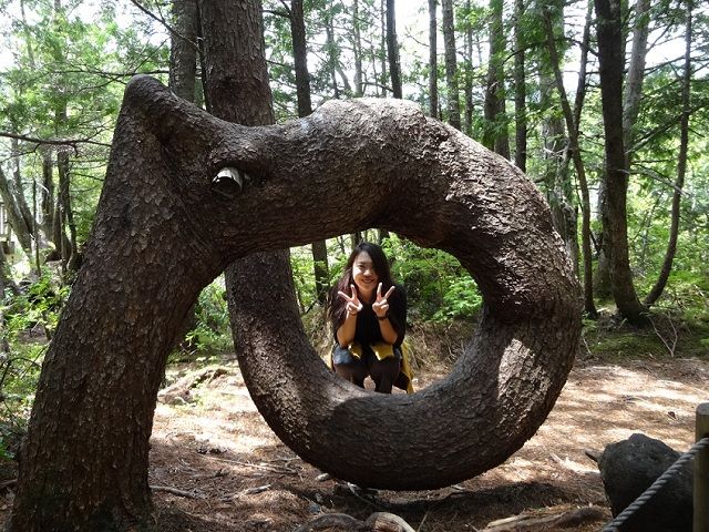 山・自然好きな方・新しい環境で生活したい方など、お問合せはお気軽に♪お待ちしております☆