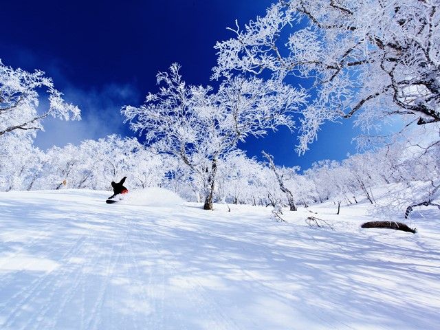 同期のスタッフもたくさんいるので一人じゃ不安･･･なんて方も安心ですよ♪