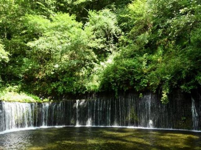 自然豊かな北軽井沢。ゆっくり過ごしてみませんか?
