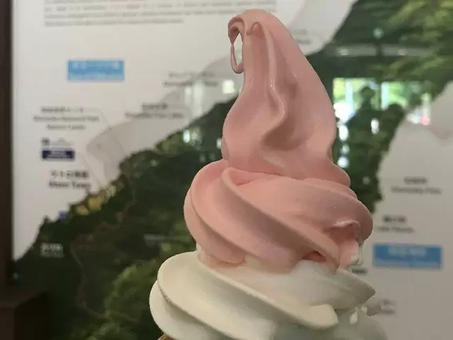 名物こけももソフトに舌鼓