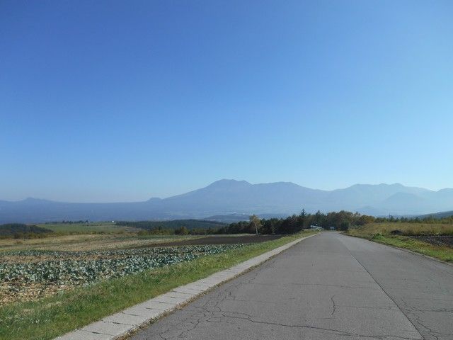 果てしなく続くロード
