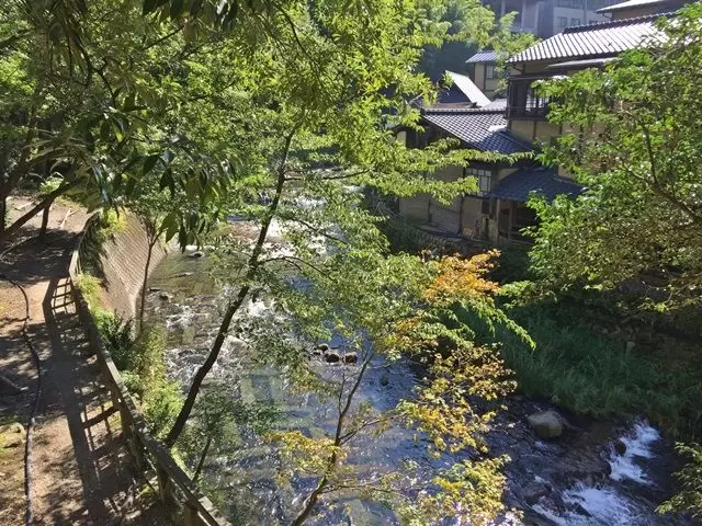 敷地内にサワガニがひょっこり現れます。晴れの日も雨の日も穏やかなで癒される場所です。