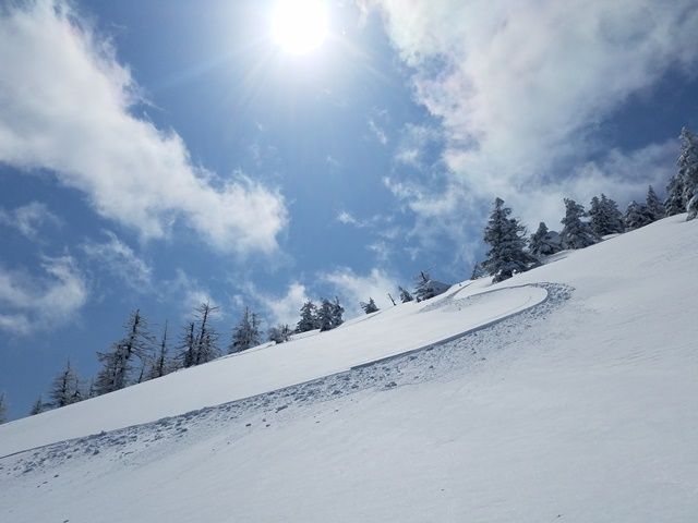 雪質はサラサラ、フワフワの極上のパウダースノー♪