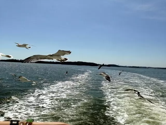 ～松島の魅力その２～海も目の前！コンビニや公園など様々な施設が有るので便利です♪