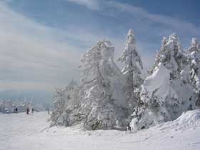 ハチ高原は関西最大級のスキー場です！ゲレンデがすぐなので滑れる時間が多いですよ！