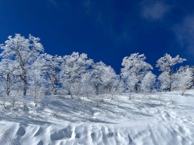 全12コース!!パークも充実しており、初級～上級まで楽しめます♪