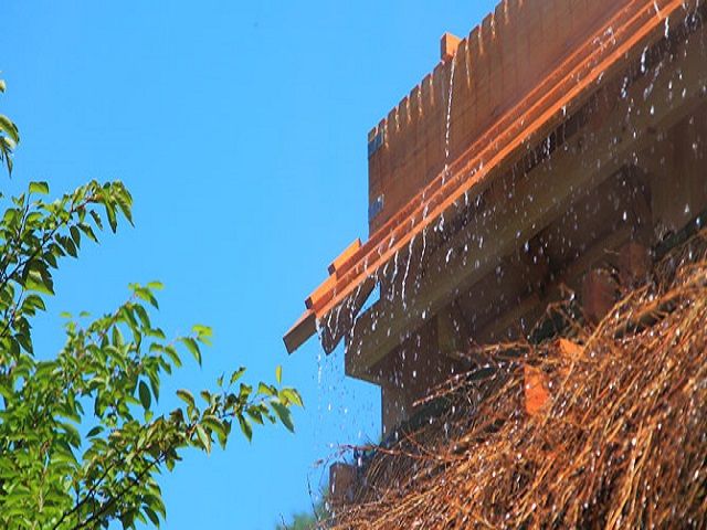 湯雨竹！！