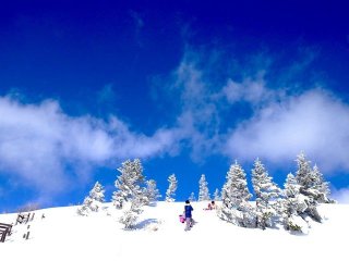 人気のキッズパーク☆無料リフト券付☆wifi有☆レンタルも無料☆ショッピングバスも有☆