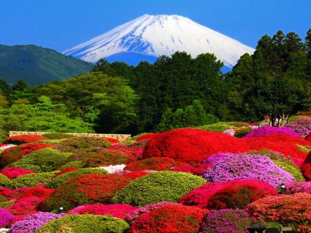人気の箱根のお仕事です！湯本エリアなので首都圏のアクセスも良好です。